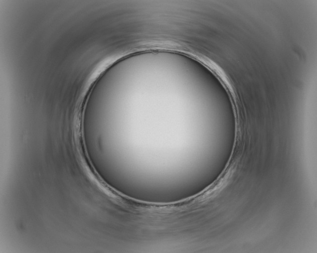 X0000112871389200908211020