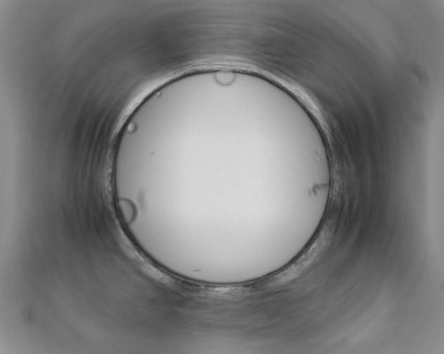 X0000112871390200908211020