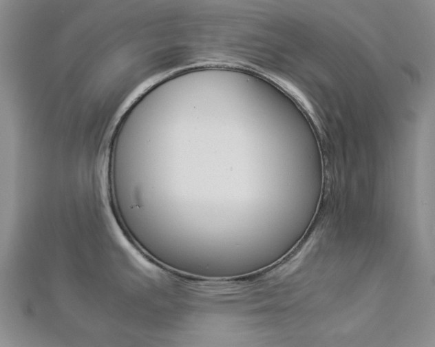 X0000112871391200908211020