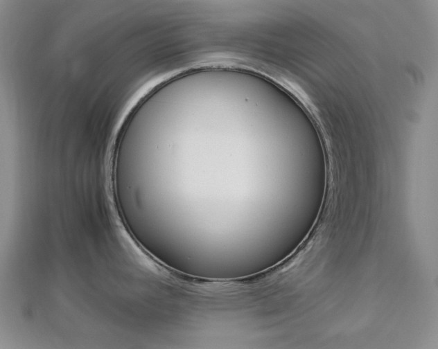 X0000112871392200908211020