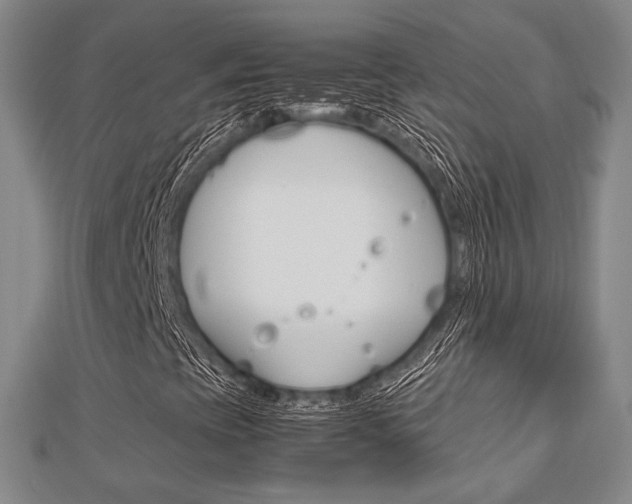 X0000112871393200908211020