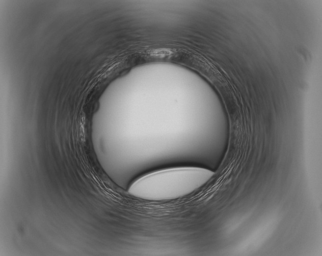 X0000112871394200908211020