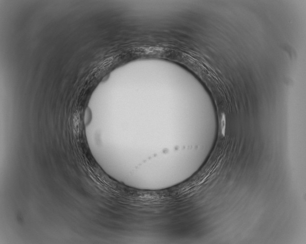 X0000112871395200908211020