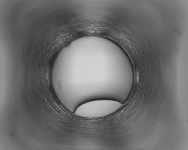 X0000112871396200908211020