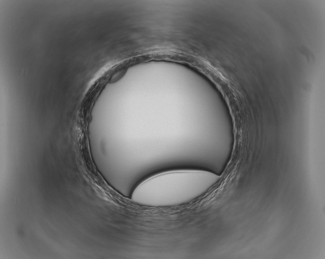 X0000112871400200908211020