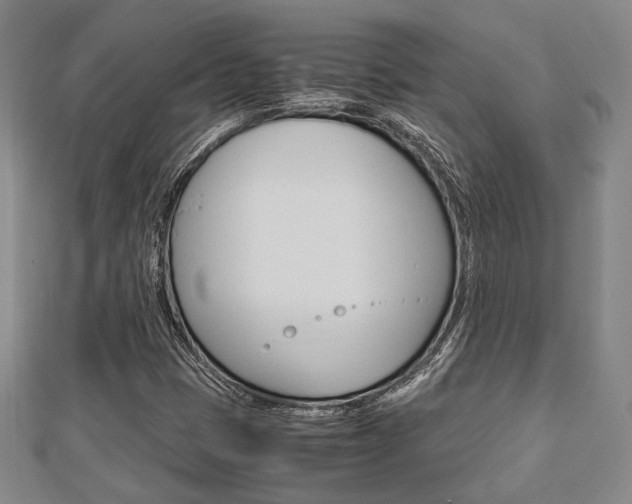 X0000112871401200908211020