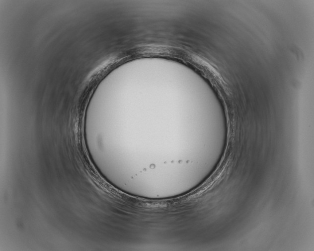 X0000112871403200908211020