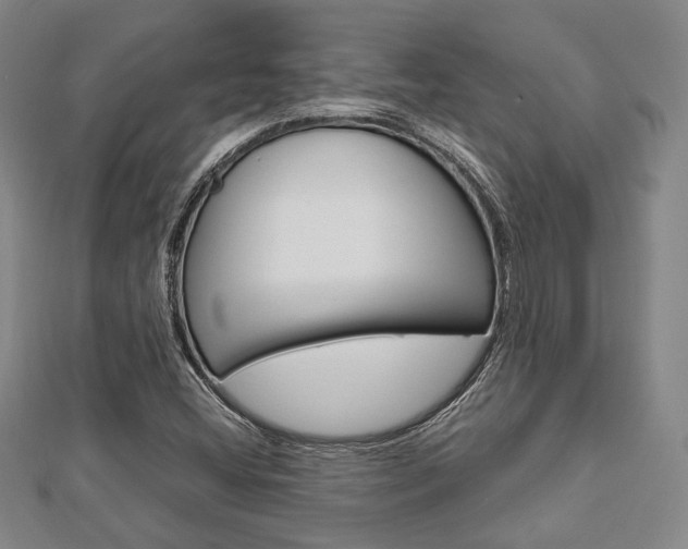 X0000112871404200908211020