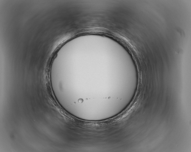 X0000112871405200908211020