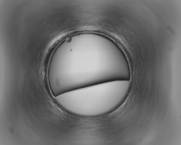 X0000112871406200908211020