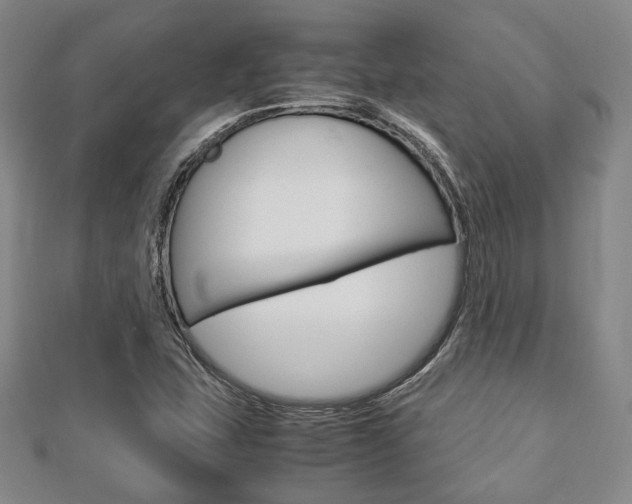X0000112871407200908211020