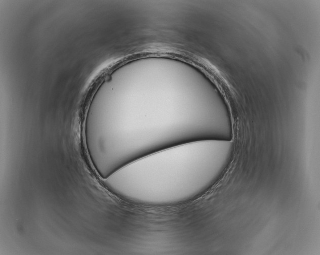 X0000112871408200908211020
