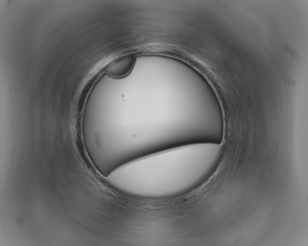 X0000112871410200908211020
