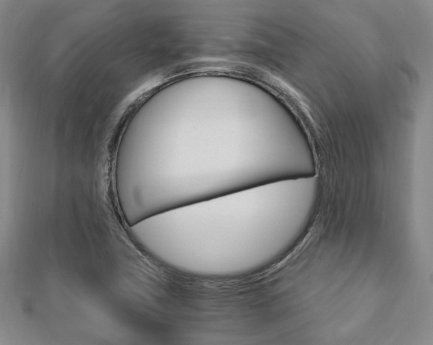 X0000112871411200908211020
