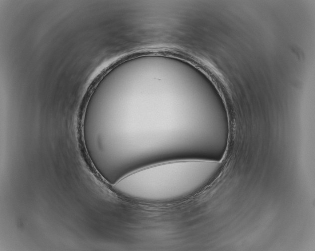X0000112871412200908211020