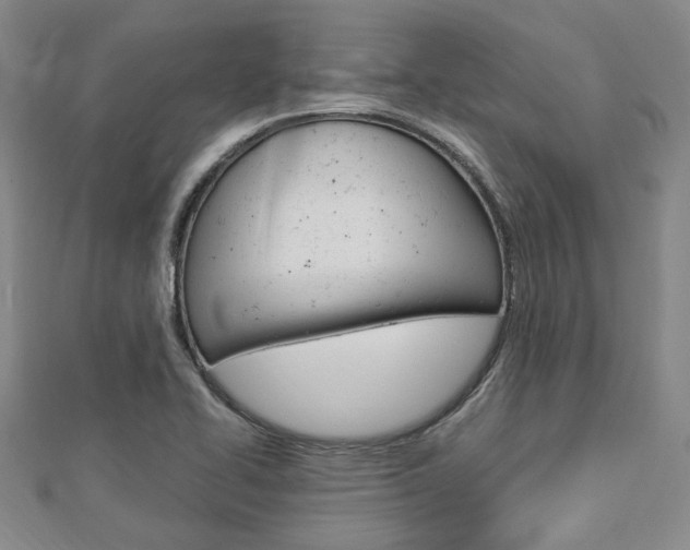 X0000112871414200908211020