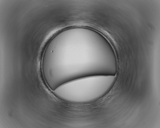 X0000112871416200908211020
