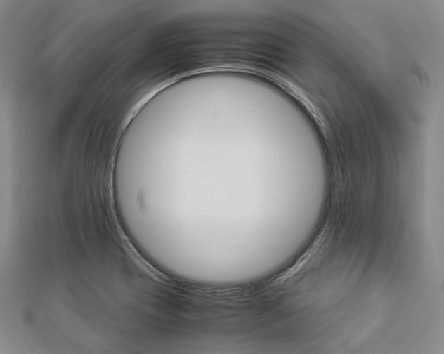 X0000112871417200908211020