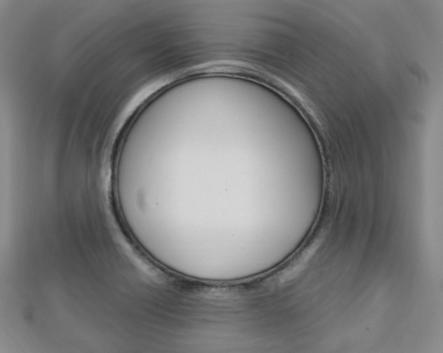 X0000112871418200908211020
