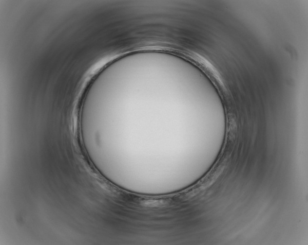 X0000112871419200908211020