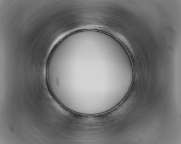 X0000112871420200908211020