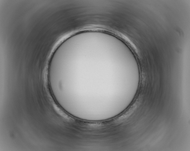 X0000112871421200908211020