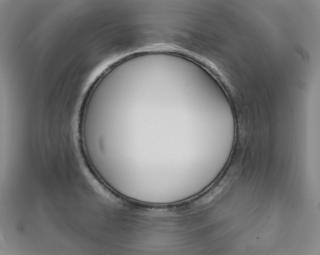 X0000112871422200908211020