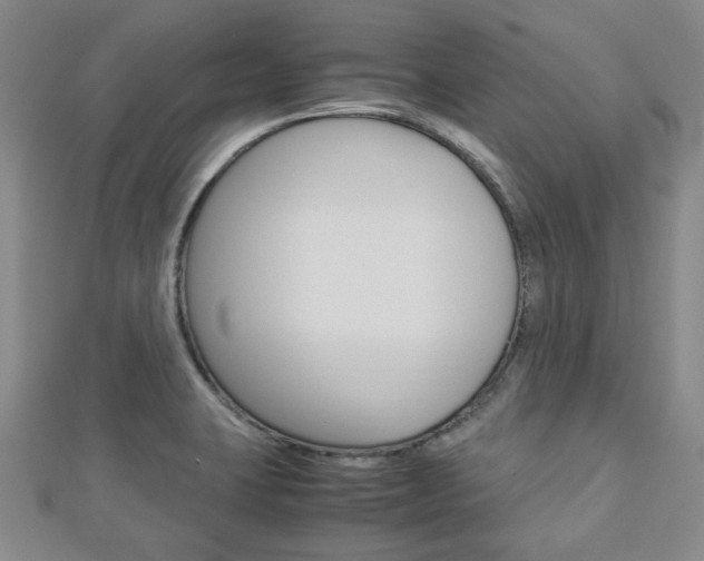 X0000112871423200908211020
