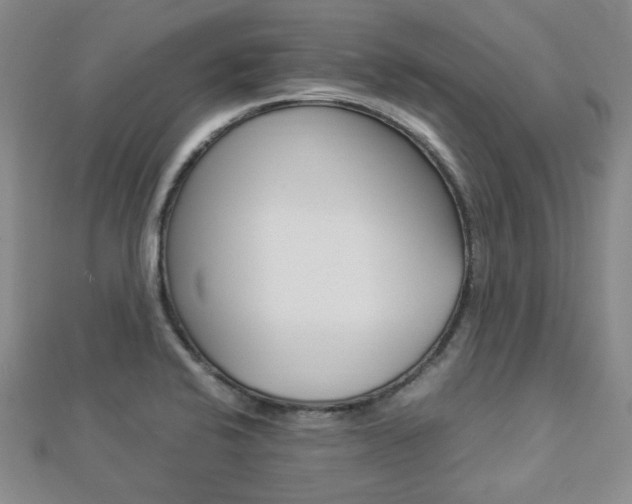 X0000112871424200908211020