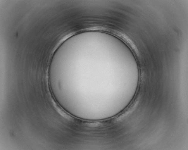 X0000112871425200908211020