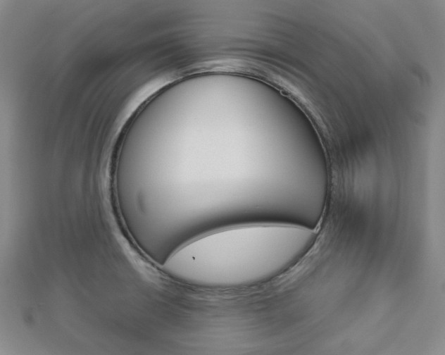 X0000112871426200908211020