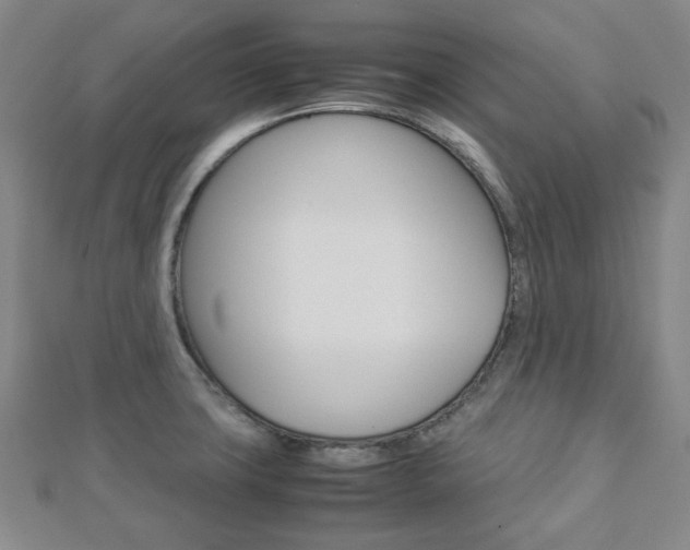 X0000112871427200908211020