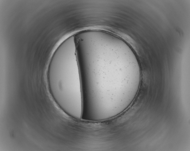 X0000112871428200908211020