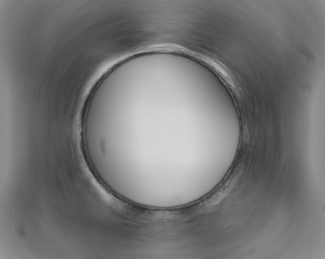 X0000112871430200908211020