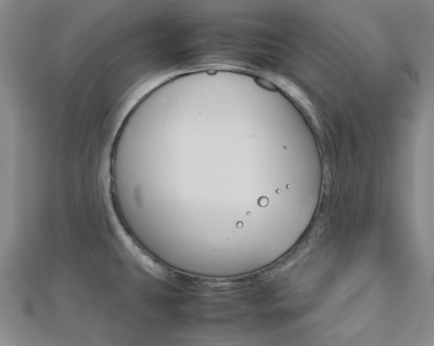 X0000112871431200908211020