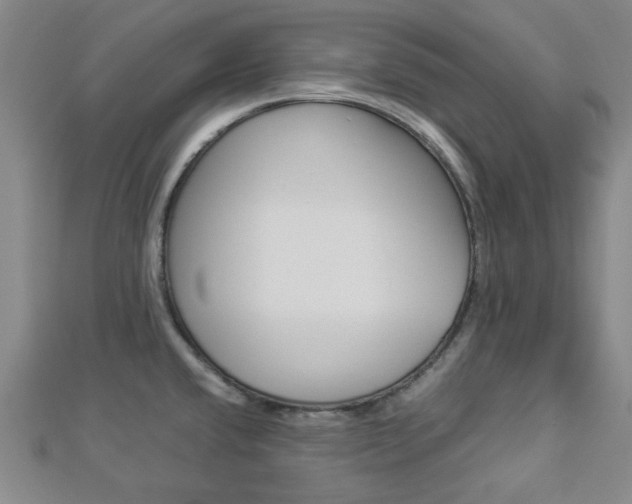 X0000112871432200908211020