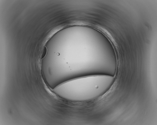 X0000112871433200908211020