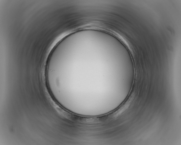 X0000112871434200908211020