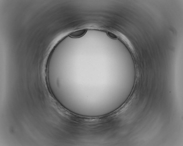 X0000112871435200908211020