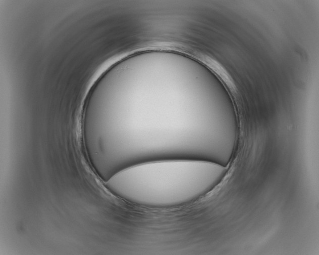 X0000112871436200908211020