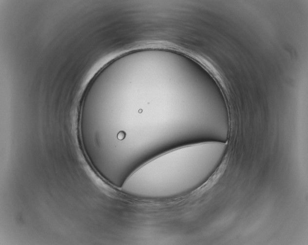 X0000112871438200908211020