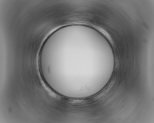 X0000112871439200908211020