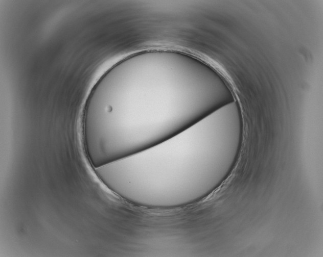 X0000112871440200908211020