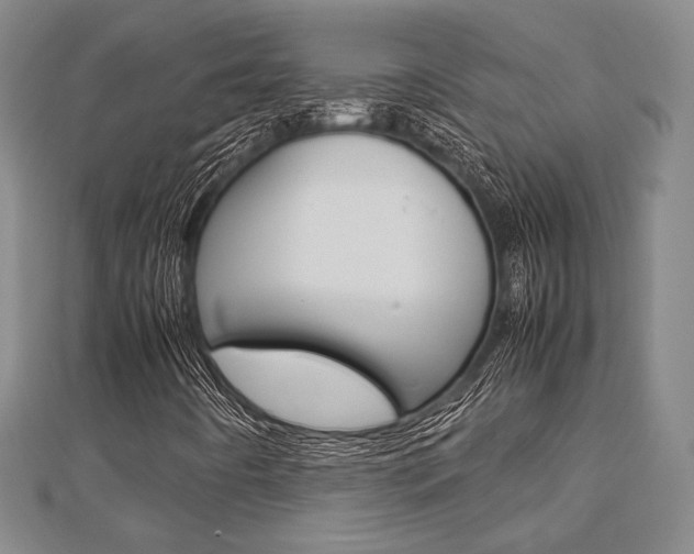 X0000112871442200908211020