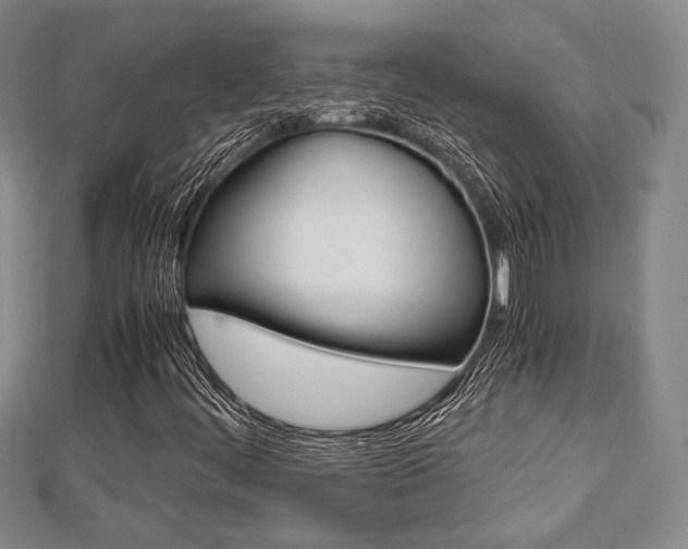X0000112871444200908211020