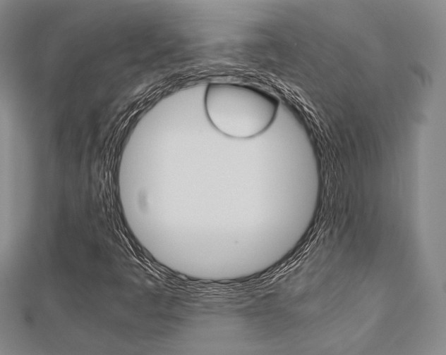X0000112871445200908211020