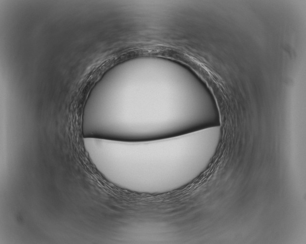 X0000112871447200908211020
