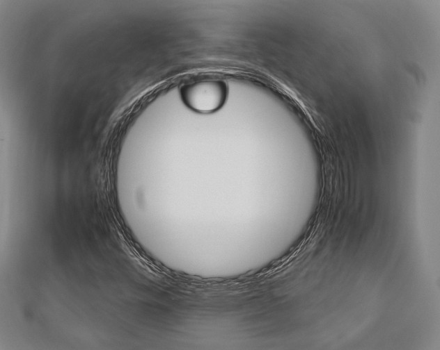 X0000112871448200908211019