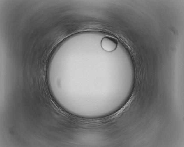 X0000112871449200908211019