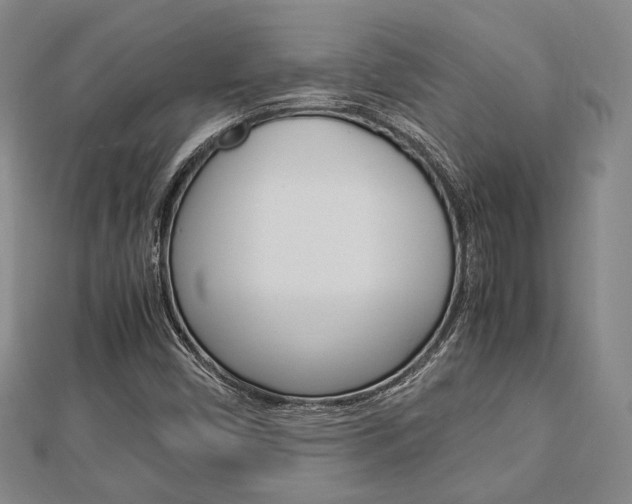 X0000112871450200908211019